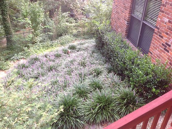 Summer blooms : Breath taking views