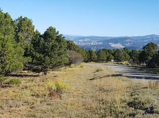 675 Pine Dr, Ridgway, CO 81432