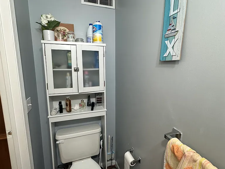 Lower level bathroom