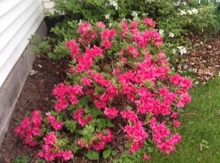 2146 Strawderman Rd, Mathias, WV 26812