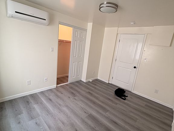 The cat won't be living in the room .