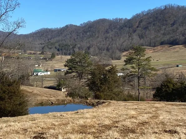 194 Davis Rd #28, Sneedville, TN 37869