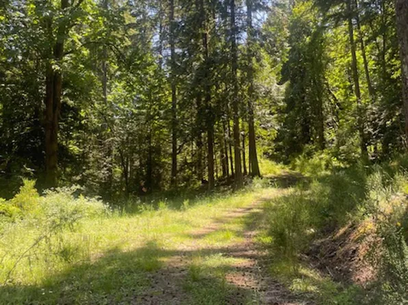 LOT 11 Thain Rd, Cowichan Valley, BC V0R 1L5