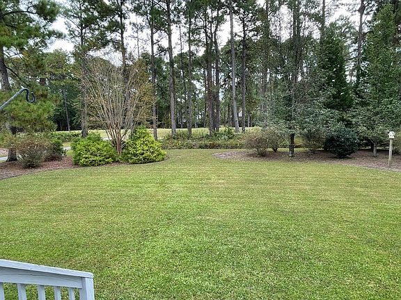 Large Backyard