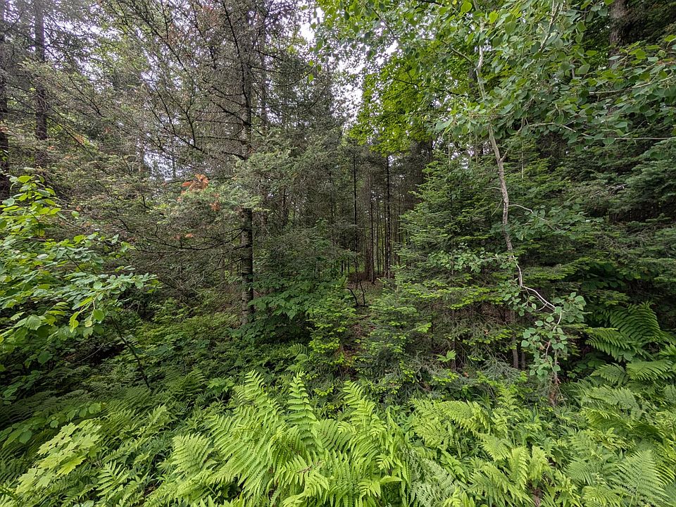 2nd image of LOT 1 Davies Rd