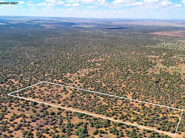 8026 Colt Ln Lot 4, Show Low, AZ 85901