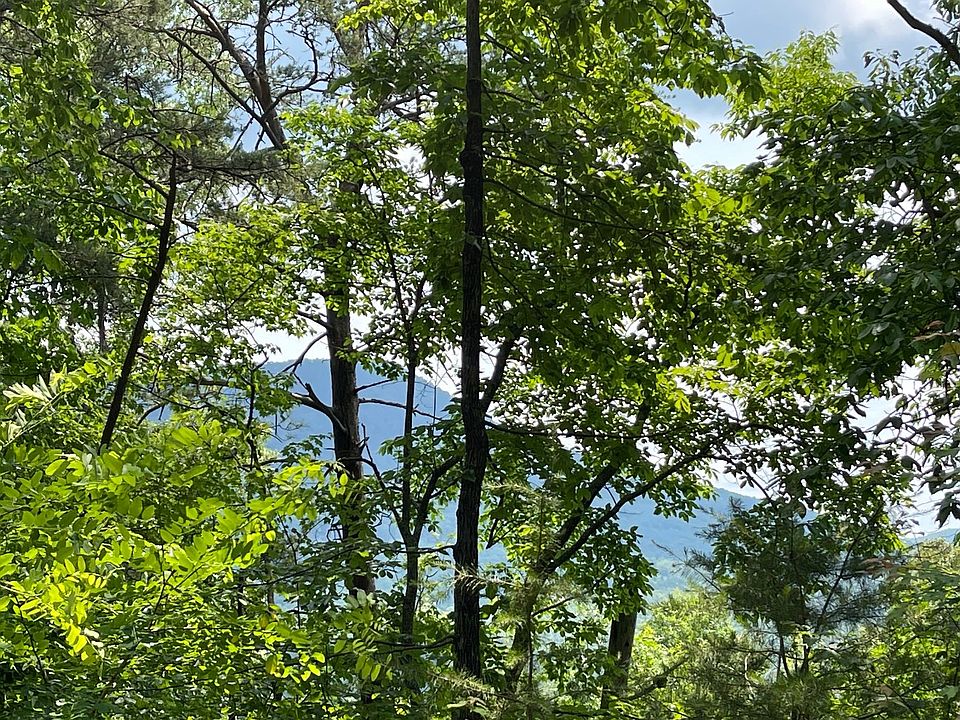 1st image of L-21 Bald Eagle Dr