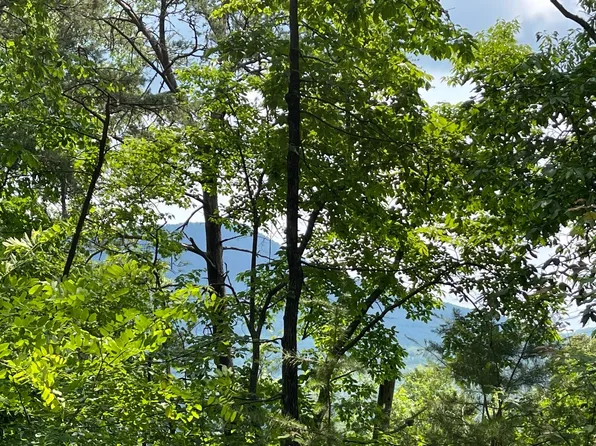 L-21 Bald Eagle Dr, Young Harris, GA 30582
