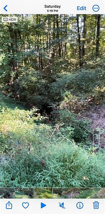 2nd image of 5992 Little Mountain Dr #3