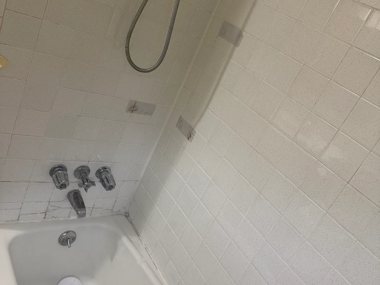 3 bed, 850 sqft, $2,000 — Photo 3