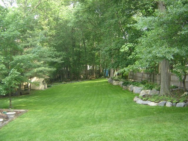 View of yard from rear deck
