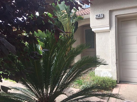 3rd image of 2507 Maybrook Dr