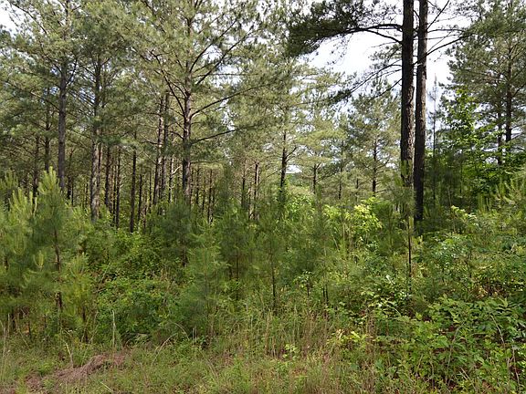 5th image of LOT 50 Pinehurst Rd