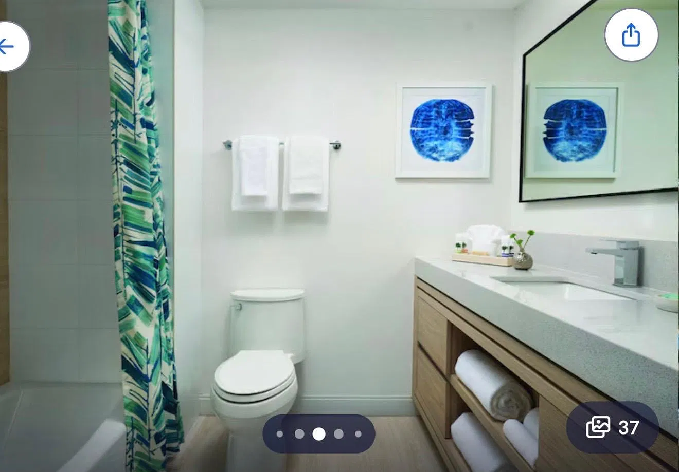 1 bed, $1,025 — Photo 3