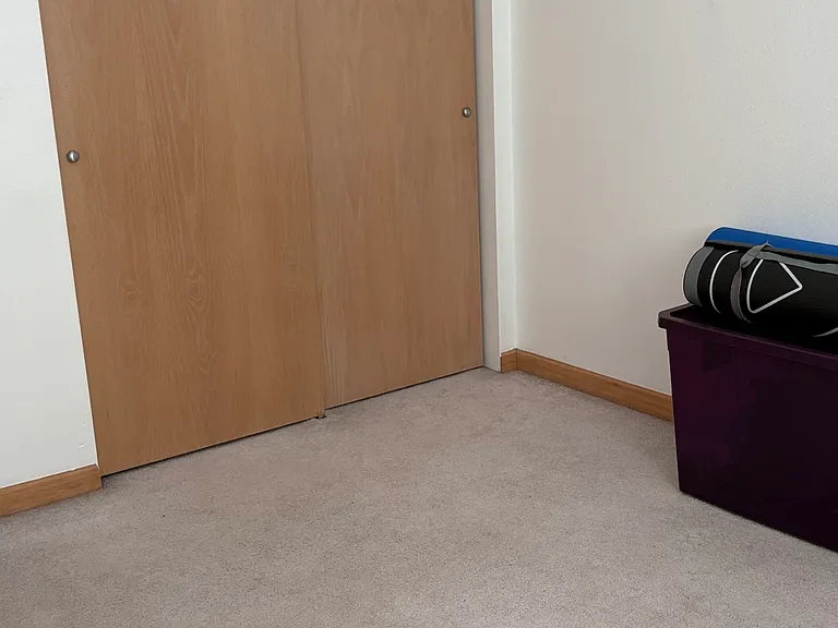 Closet in the second bedroom