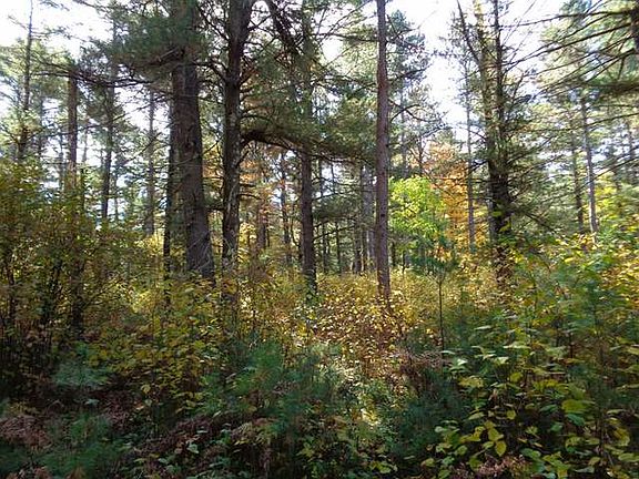 2nd image of LOT 14 Wilderness Cir