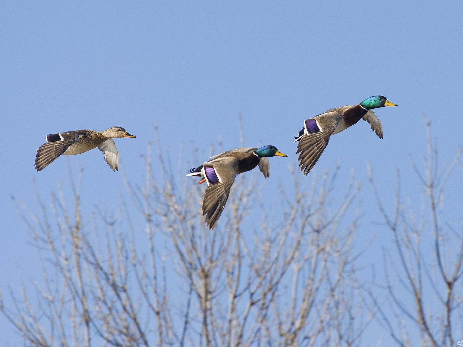 000 Flynn Bridge Road, Humnoke, AR 72072 MLS 23017005 Zillow