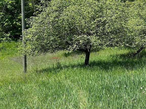 5th image of 4202 County Road 427