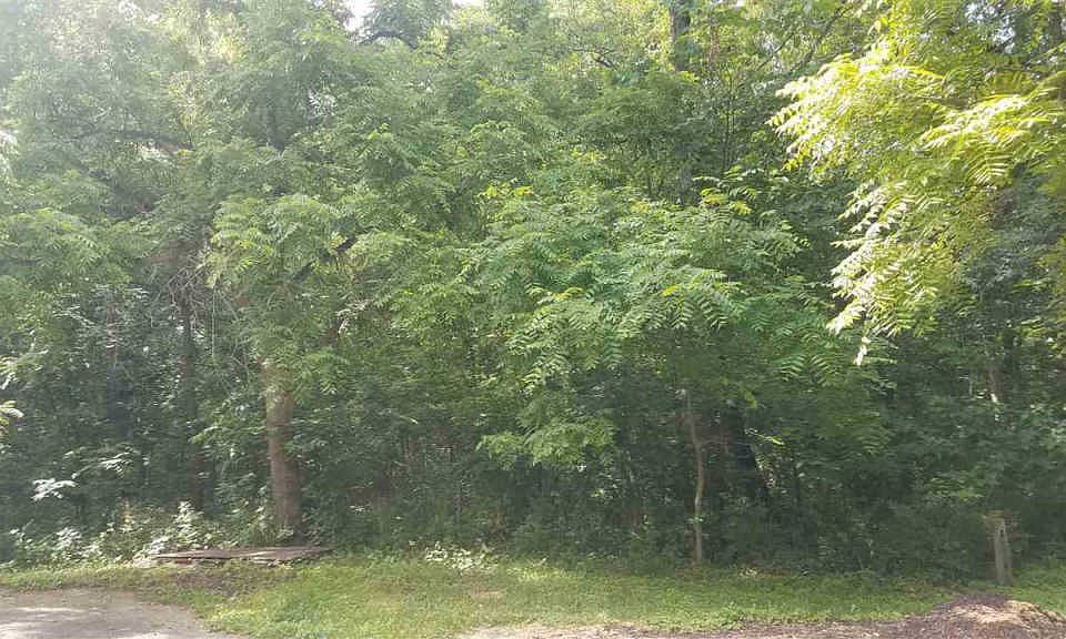 1st image of 314 Knollwood Dr