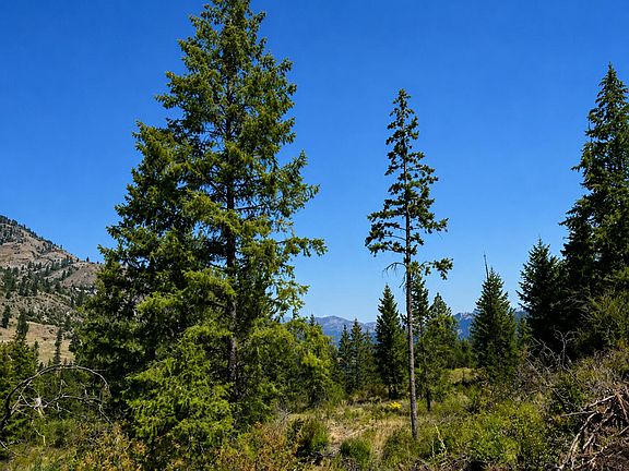 5th image of 3634 Highway 25 N