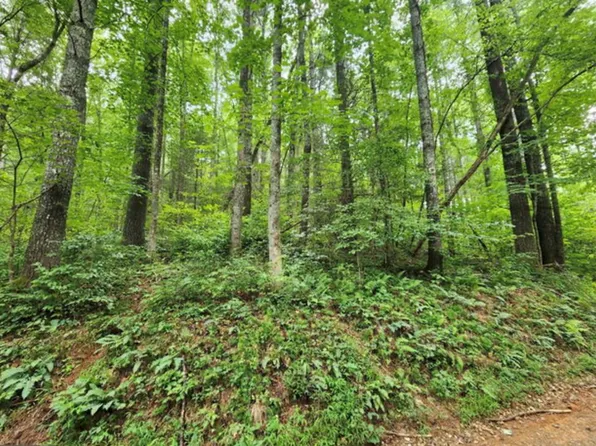 2A Poplar Dr, Suches, GA 30572