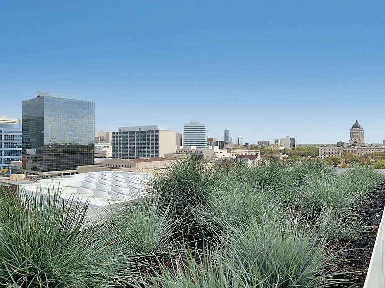 290 Colony St — Photo 21