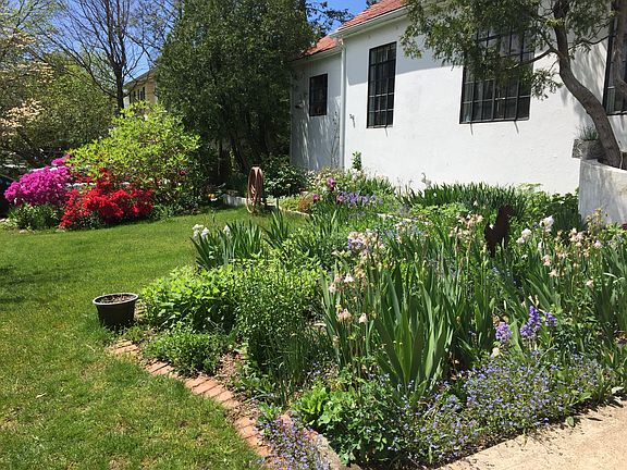 Low maintenance perennials