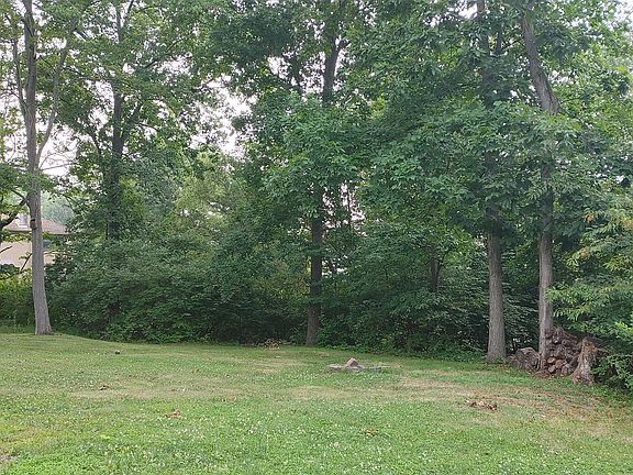 Wooded back yard off deck.