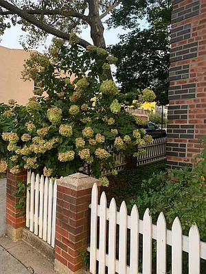 Rented by Compass | media 23