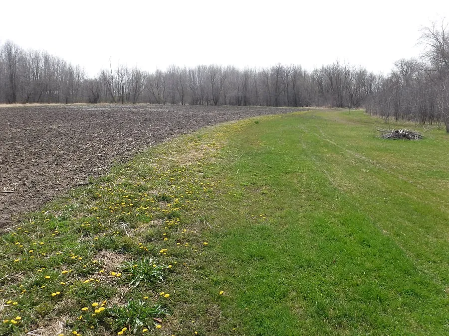 10819 Burlington Rd photo 1