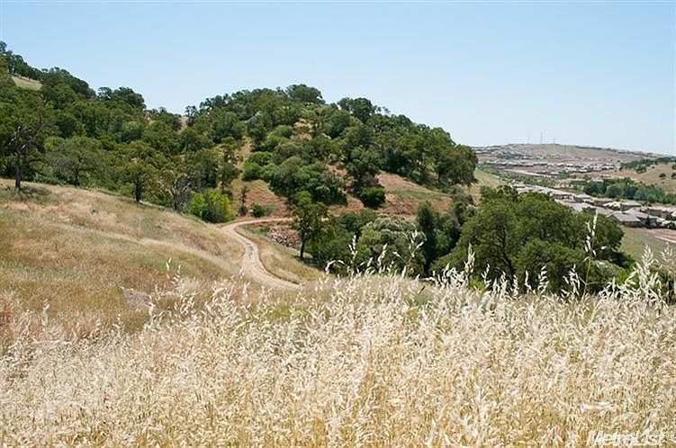 2nd image of 3141 Vista Le Fonti
