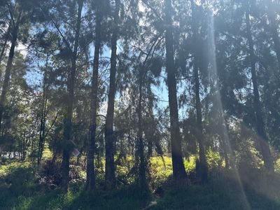 Pikake St Lot 7722, Mountain View, HI, 96771