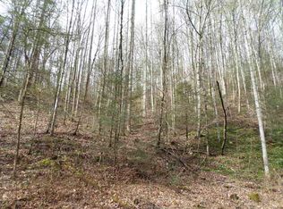 17 Acres Lower Rinehart Road Rd, Dandridge, TN 37725