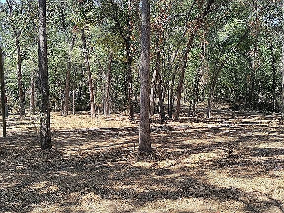 5th image of 177 County Road 1687