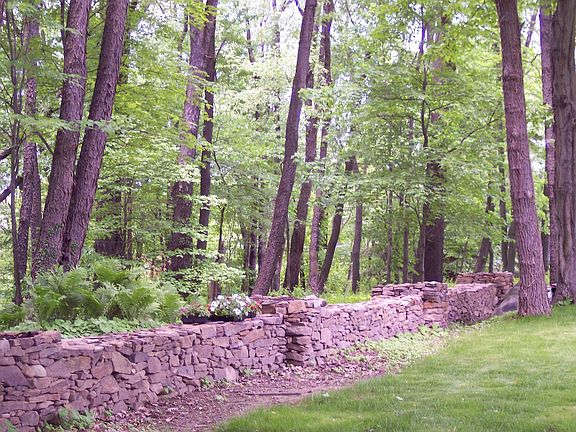 portion of stone wall in woods