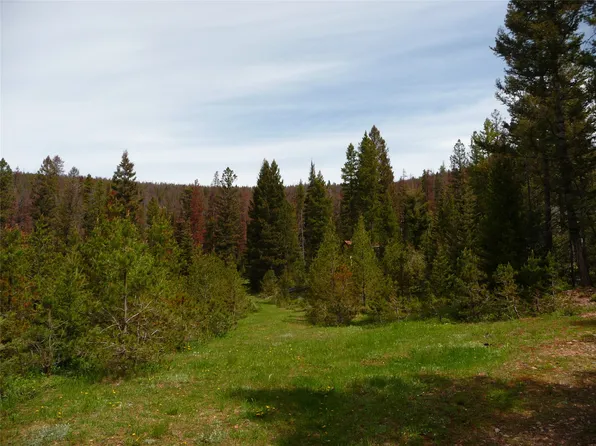 263 Wild Hill Ln, Lincoln, MT 59639