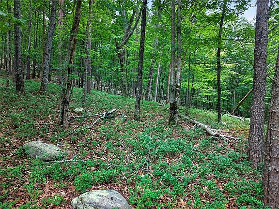 3rd image of 0 Ridgeside Ct #293