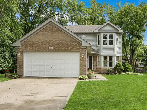 1213 E Camp McDonald Rd, Prospect Heights, IL 60070