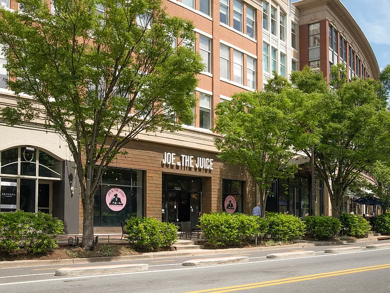 Ellis Bethesda — Photo 17