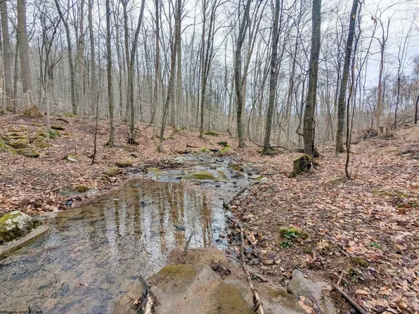 689 Burris Rd, Bruceton Mills, WV 26525
