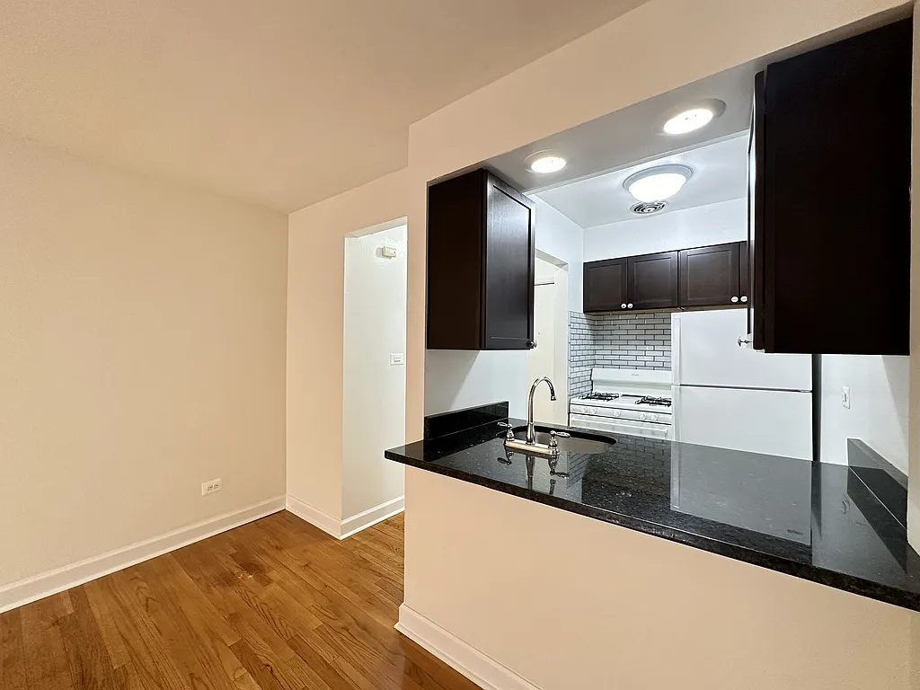 Magnificent Studio, 1 Bath at Sheridan + Farwell (Rogers Park) — Photo 3