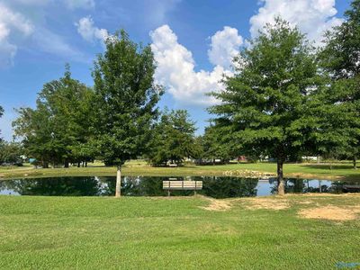 1020 County Road 92, Cedar Bluff, AL, 35959