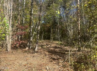 LOT 1 Butcher Valley Rd, Rogersville, TN 37857