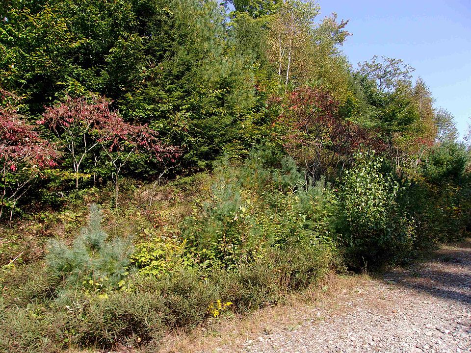 1st image of Fenn Way Circle #29