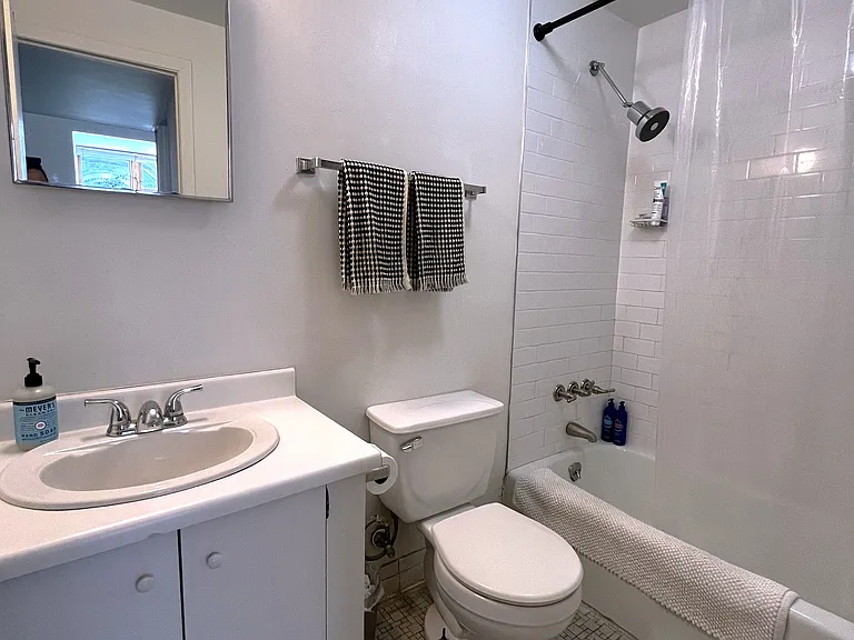 119 W 95th St #4F — Photo 6