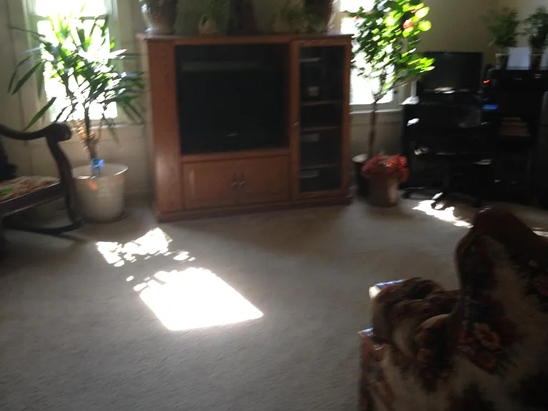 316 Bush St — Photo 6
