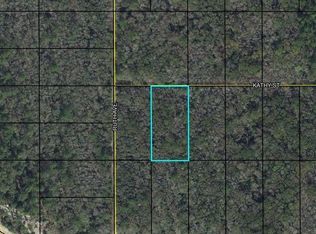 0 Kathy St, Bunnell, FL 32110