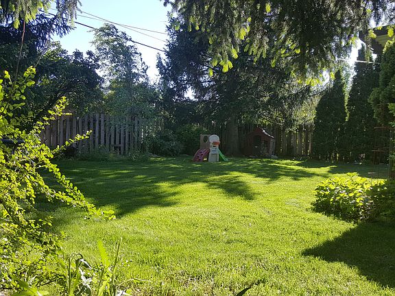 Lush, mature, but easy yard