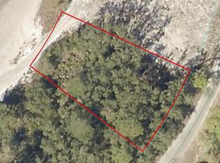 24 Fisher Loop LOT 24, Ocklawaha, FL 32179