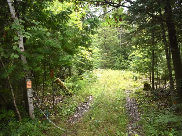 Wallace Rd, Cheboygan, MI 49721